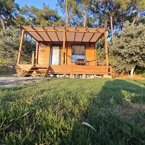  Campsite Tiny Mini House